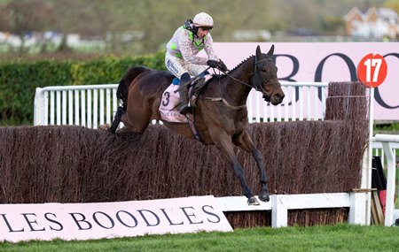 Gaelic Warrior on his way to victory in the Cheltenham Gold Cup at Cheltenham Racecourse