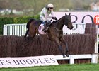 Gaelic Warrior (Paul Townend) jump the last and win the Gold Cup
Cheltenham 13.3.26 Pic: Edward Whitaker