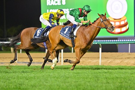 Calandagan wins the Dubai Sheema Classic at Meydan Racecourse