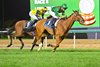  Calandagan wins the 2026 Dubai Sheema Classic at Meydan Racecourse