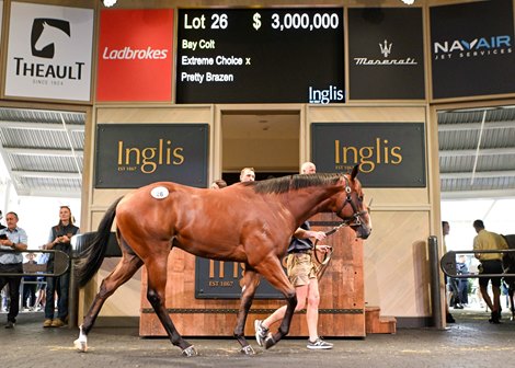 Extreme Choice Colt Headlines Inglis Easter Opener