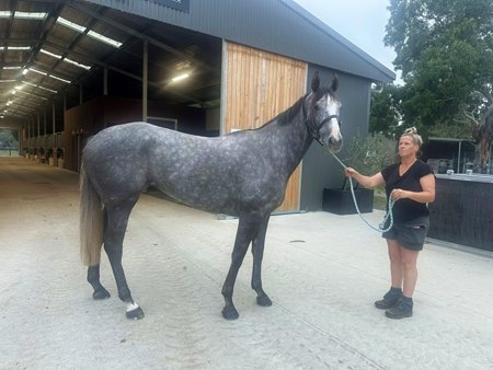 Washington Lilac consigned as Lot 129 to the Inglis Australia Digital March (Late) Online Sale