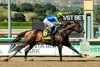 Cornucopian and jockey Juan Hernandez win the Grade III, $100,000 San Carlos Stakes, Sunday, March 29, 2026 at Santa Anita Park, Arcadia CA.
© BENOIT PHOTO