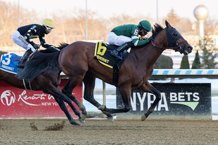 Iron Honor wins the Gotham Stakes at Aqueduct Racetrack
