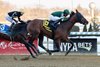 Iron Honor wins the 2026 Gotham Stakes at Aqueduct Racetrack