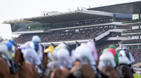 Racing at Cheltenham