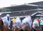 Runners in the County Hurdle won by Wilful (Jonjo O'Neill jr) race towards the final flight
Cheltenham 13.3.26 Pic: Edward Whitaker