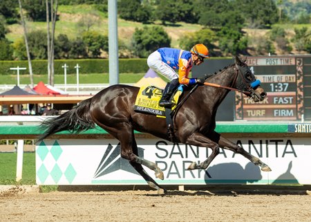 Splendora wins the B. Wayne Hughes Beholder Mile Stakes at Santa Anita Park
