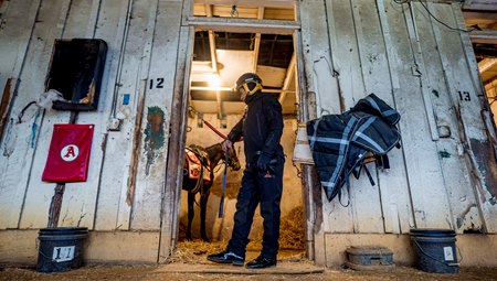 Yedsit Hazlewood awaits a morning mount 