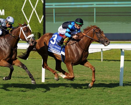 Sweet Rebecca wins the Sand Springs Stakes at Gulfstream Park