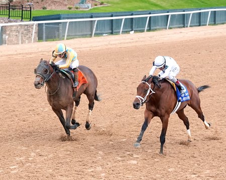 Class President (right) and Silent Tactic battle in the Rebel Stakes at Oaklawn Park