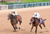 Class President wins the 2026 Rebel Stakes at Oaklawn Park