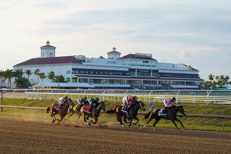 Racing at Gulfstream Park