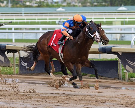 Make My Day breaks his maiden at Gulfstream Park