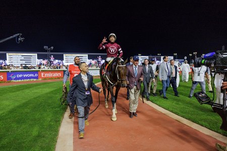 Dubai World Cup winner Magnitude
