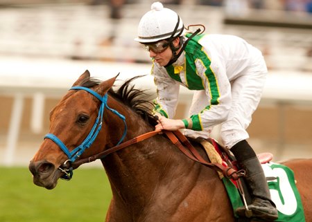Reba Is Tops wins the 2011 Wishing Well Stakes at Santa Anita Park