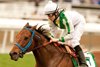 #5 REBA IS TOPS (Joseph Talamo)
$70,000 Wishing Well Stakes
Owner: Jarnig, Marshall &amp; Schweigner
Trainer: Mark Glatt
January 30, 2011
Santa Anita Park
© BENOIT PHOTO