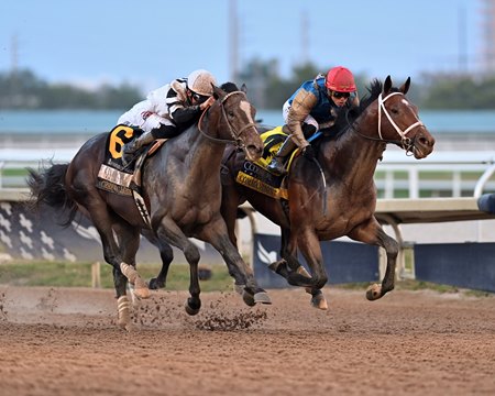 Fountain of Youth Stakes winner Commandment (red cap) and runner-up Chief Wallabee are scheduled to meet again in the Florida Derby