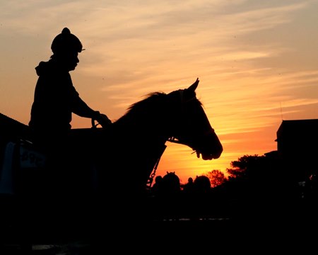 Sunrise at Oaklawn Park