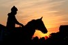 Scenic - Sunrise - Mornings - Oaklawn Park - 032326