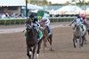 R Disaster wins the 2026 Hurricane Bertie Stakes at Gulfstream Park