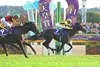 Masquerade Ball wins the 2025 Tenno Sho (Autumn) (G1) at Tokyo Racecourse