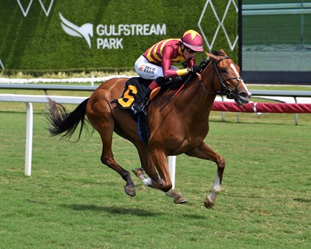Trust Account breaks her maiden at Gulfstream Park