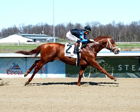 Volendam wins his career debut at Turfway Park
