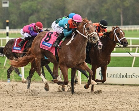 The Puma outfinishes Further Ado and Canaletto in the Tampa Bay Derby at Tampa Bay Downs