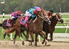 The Puma wins the 2026 Tampa Bay Derby at Tampa Bay Downs