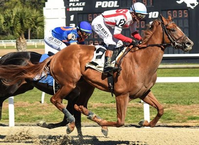 Emerging Market scores on debut at Tampa Day Downs