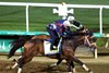 Commandment - 5f in 1:01.40 - Churchill Downs - 042526