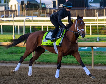 Renegade trains at Churchill Downs