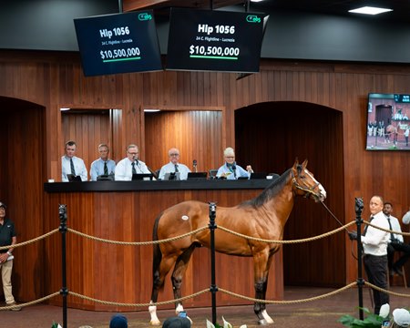 The Flightline colt, consigned as Hip 1056, in the ring at the OBS Spring Sale