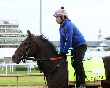 Ocelli - Horse Profile - BloodHorse