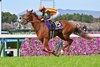 Star Anise wins the Oka Sho (Japanese One Thousand Guineas) on Sunday, April 12, 2026 at Hanshin Racecourse