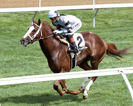 Dresden Row wins an allowance race at Keeneland in his first start for Twin Oaks Bloodstock