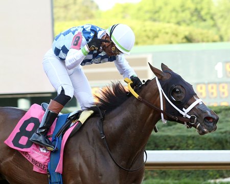 Claret Beret wins the Apple Blossom Handicap at Oaklawn Park