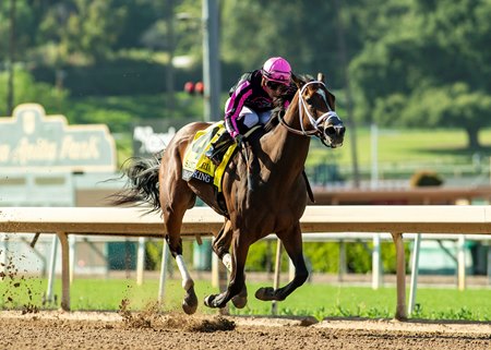 Simply Joking wins the Santa Maria Stakes at Santa Anita Park