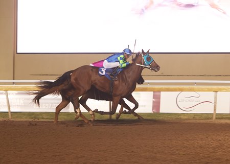 The Hell We did wins his debut in 2025 at Remington Park 