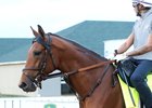 Ottinho - Gallop - Churchill Downs - 04-22-26
