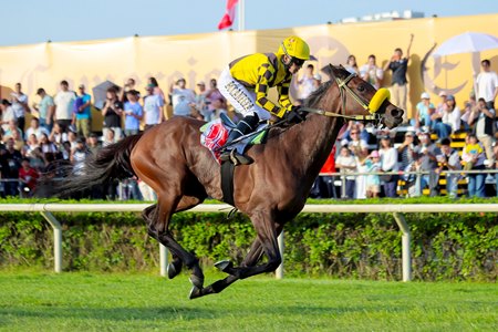 Se Va Colando wins the 2026 Gran Premio Pamplona at Hipódromo de Monterrico