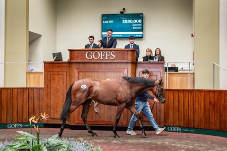 The Mehmas colt consigned as Lot 197 in the ring at the Goffs UK Breeze-Up Sale