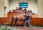 2026 Goffs Doncaster Breeze-Up Sale, Lot 197
