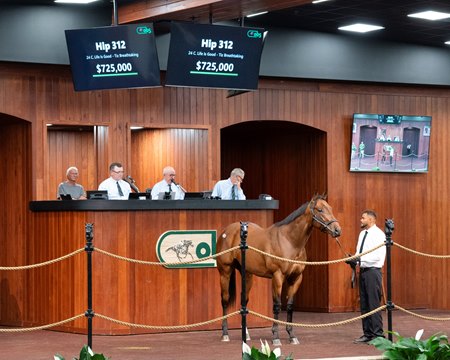 A colt by Life Is Good, consigned as Hip 312 by Britton Peak, agent, in the ring at the OBS Spring Sale