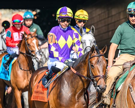 Remember Mamba leaves the paddock ahead of winning the Transylvania Stakes at Keeneland