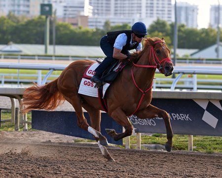 The Puma breezes for the Kentucky Derby at Gulfstream Park
