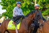 Silent Tactic
Training at Churchill Downs on April 23, 2026. 