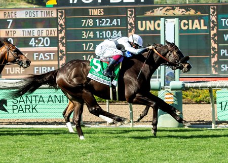Almendares wins the American Stakes at Santa Anita Park