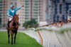 Romantic Warrior with James McDonald wins the FWD QEII Cup on April 28, 2024 at Sha Tin Racecourse in Hong Kong, China. Photo By: Alex Evers/HKJC